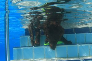 tauchsucht20250926_215014