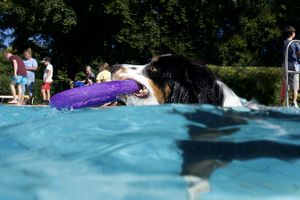 tauchsucht20250926_215256