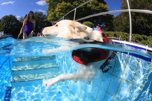 tauchsucht20250926_215538