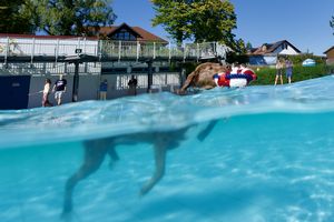 tauchsucht20250926_220534