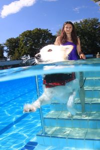 tauchsucht20250926_221258