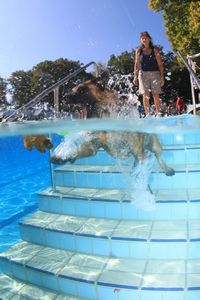 tauchsucht20250926_222318