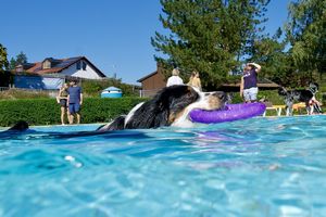 tauchsucht20250926_222502