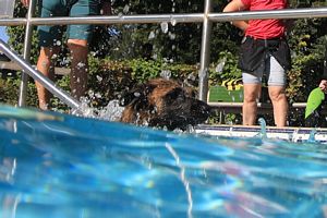 tauchsucht20250926_222642