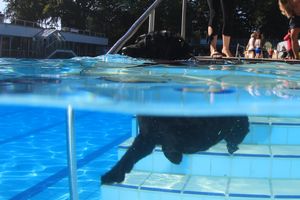 tauchsucht20250926_222840