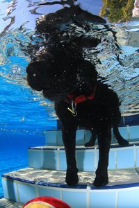 tauchsucht20250926_222952