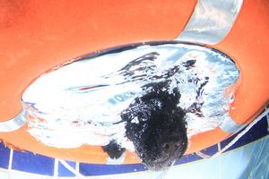 tauchsucht20250926_223146