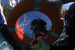 tauchsucht20250926_223236