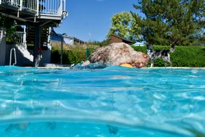 tauchsucht20250927_161902