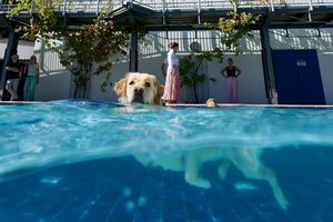 tauchsucht20250927_170842