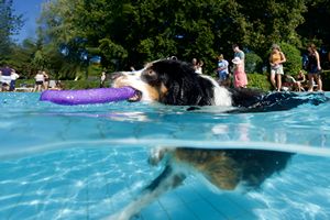 tauchsucht20250927_173906