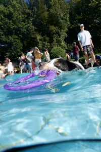 tauchsucht20250927_173954