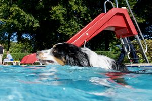 tauchsucht20250927_174642