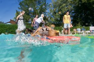 tauchsucht20250928_204042