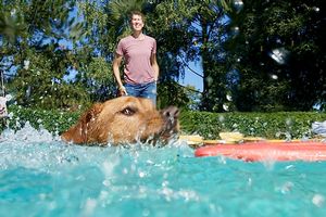 tauchsucht20250928_204104