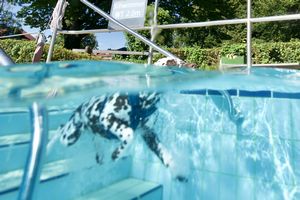 tauchsucht20250929_073842