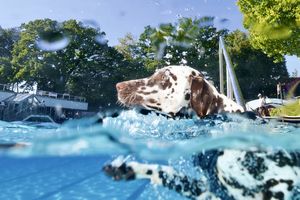 tauchsucht20250929_073852