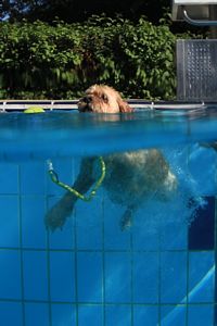 tauchsucht20250929_192026