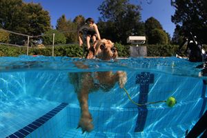 tauchsucht20250929_192252