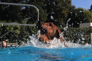 tauchsucht20250929_192402