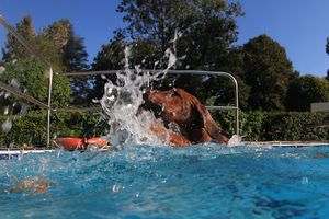 tauchsucht20250929_192428