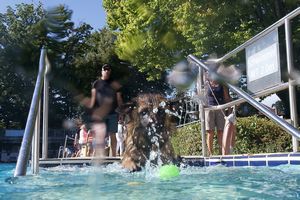 tauchsucht20250929_195426