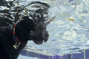 tauchsucht20250929_200606