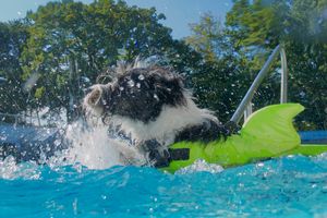 tauchsucht20250929_202922