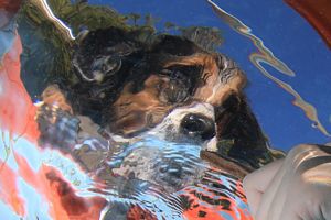 tauchsucht20250929_203246