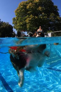 tauchsucht20250929_204110