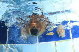 tauchsucht20250929_204230