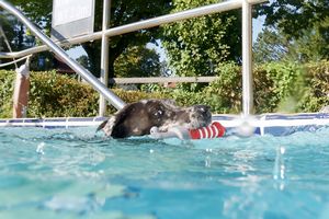 tauchsucht20250929_205540