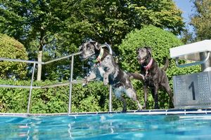 tauchsucht20250929_210140