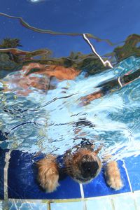 tauchsucht20250929_210638