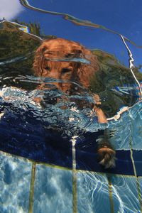 tauchsucht20250929_210704