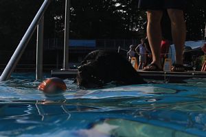 tauchsucht20250929_210902