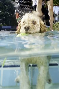 tauchsucht20250930_214638