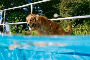 tauchsucht20250930_224406