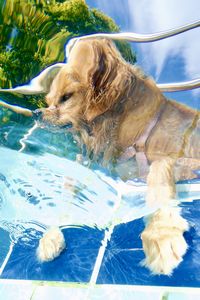 tauchsucht20250930_230632