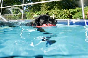 tauchsucht20250930_230808