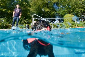 tauchsucht20250930_233544