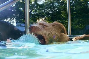 tauchsucht20250930_234948