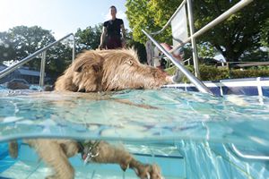 tauchsucht20250930_235602