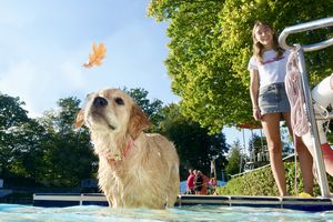 tauchsucht20251001_000542