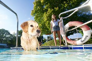 tauchsucht20251001_000814