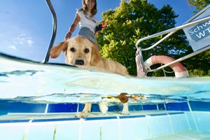 tauchsucht20251001_001026