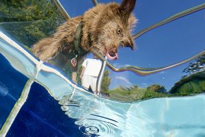 tauchsucht20251001_001754