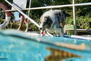 tauchsucht20251001_003012