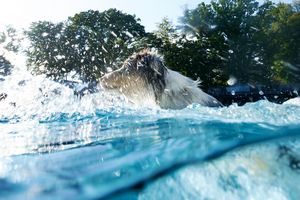 tauchsucht20251001_003340