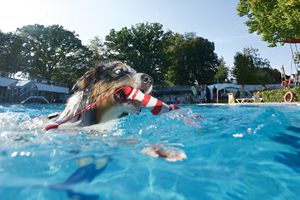 tauchsucht20251001_003756